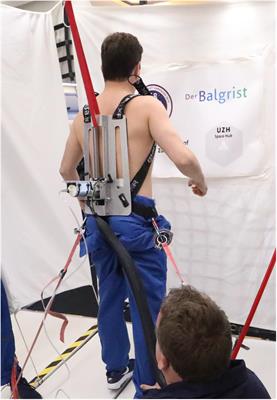 Microgravity and Hypergravity Induced by Parabolic Flight Differently Affect Lumbar Spinal Stiffness